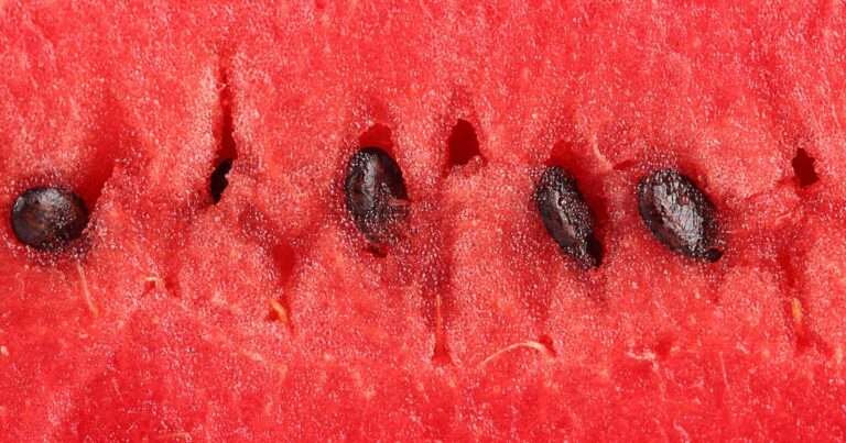 7 πράγματα που πρέπει να προσέξεις για να αγοράσεις το σωστό καρπούζι.