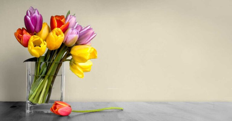 Δείτε 6 τρόπους που μπορούν να φέρουν καλή τύχη στο σπίτι σας!