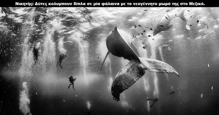 National Geographic: Οι καλύτερες φωτογραφίες του 2015
