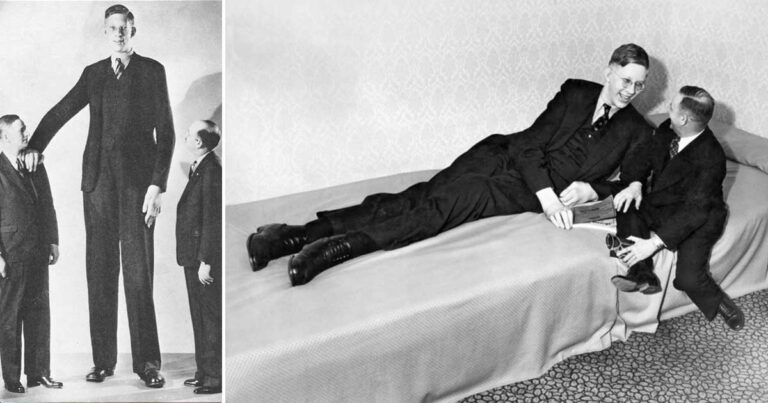 O «ευγενικός γίγαντας»: Ο ψηλότερος άντρας στον κόσμο που είχε ύψος 2 μέτρα και 73 εκατοστά!