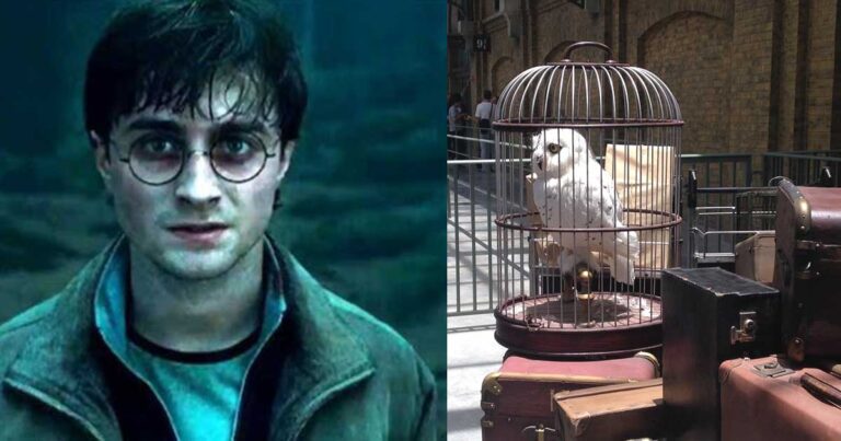 12 μυστικά που αποκάλυψε η Τζ. Κ. Ρόουλινγκ για τον Χάρι Πότερ