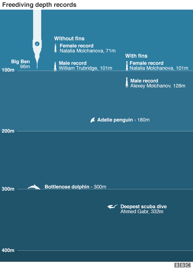 _84686140_freediving_comparison_624_v2