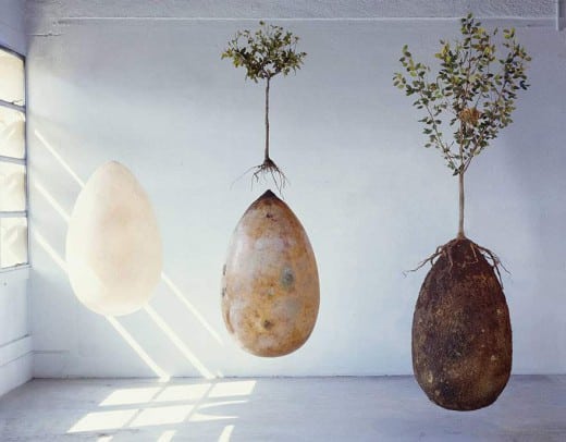 868633_biodegradable-burial-pod-memory-forest-capsula-mundi-9-Optimized