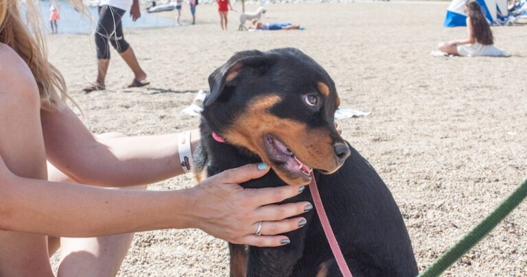 25 φωτογραφίες που θα σας κάνουν να χαμογελάσετε!