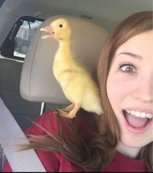 Duck face! - Imgur