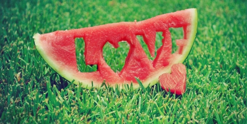 love_watermelon-wallpaper-800x600