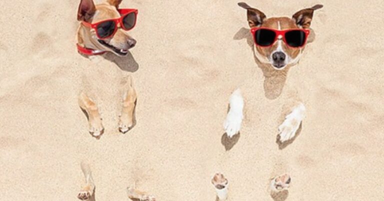 14 πράγματα που όλοι έχουμε κάνει στην παραλία και δεν το παραδεχόμαστε!