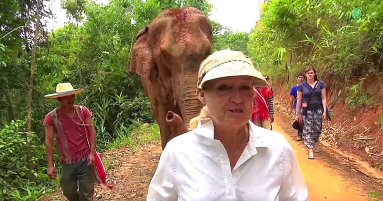 Ελέφαντας επανασυνδέεται με το μωρό που είχε υιοθετήσει πριν από χρόνια και η στιγμή είναι μαγική