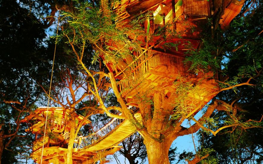 Sanya-Tree-house__880