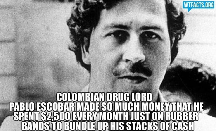 Pablo+escobar+was+a+rich+guy+source+http+wtfactsorg_b21e97_4372438