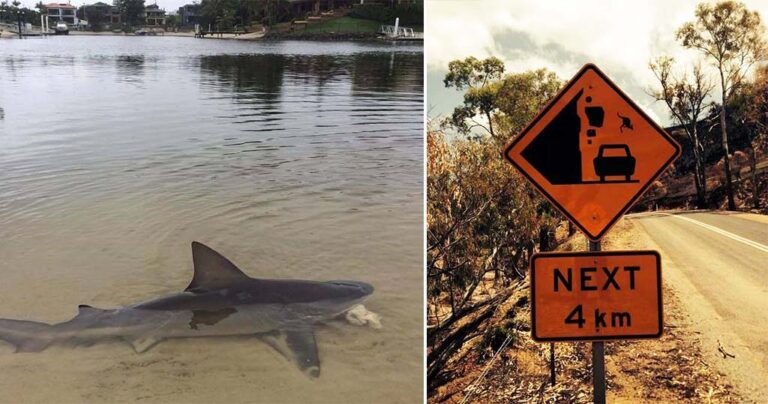 37 εικόνες που αποδεικνύουν πως η Αυστραλία είναι η Χώρα του Ποτέ