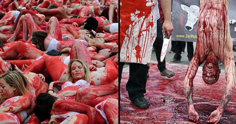 Χορτοφάγοι ακτιβιστές καλύφθηκαν με κόκκινη μπογιά αναπαριστώντας σφαγή!