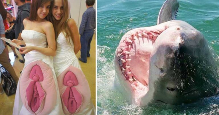 41 ενδιαφέρουσες φωτογραφίες για να χαλαρώσετε