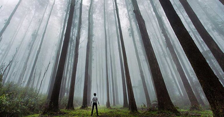 22 φυσικά τοπία που μας κάνουν να νιώθουμε μινιατούρες