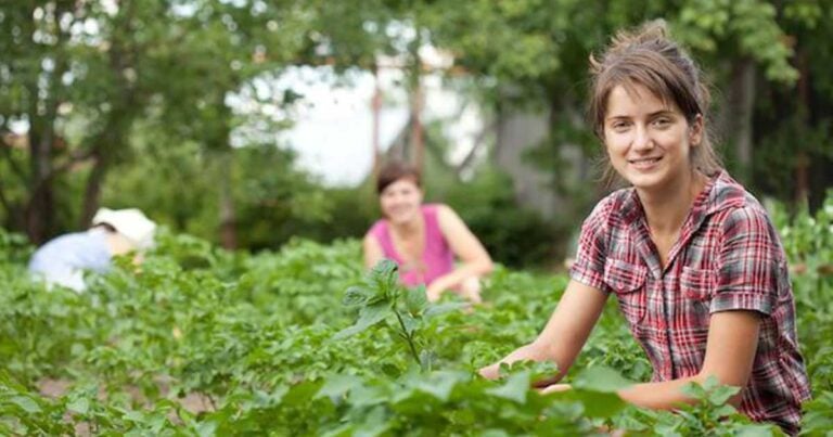 Και με το νόμο η παραγωγή και διάθεση προϊόντων απευθείας από μικρούς παραγωγούς