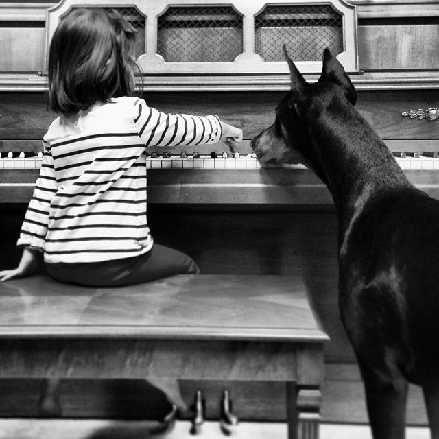 cutie-and-the-beast-dog-girl-seana-doberman-76