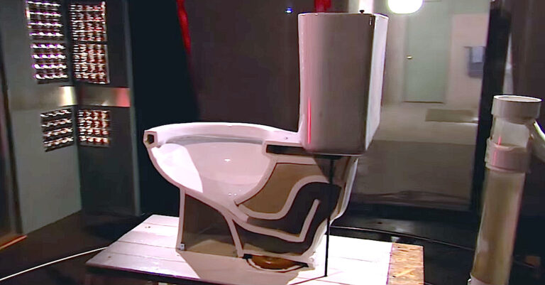 Έκοψαν μια τουαλέτα στα δυο για να δουν πόσο εύκολα μπορεί να βγει ένας αρουραίος από μέσα της.