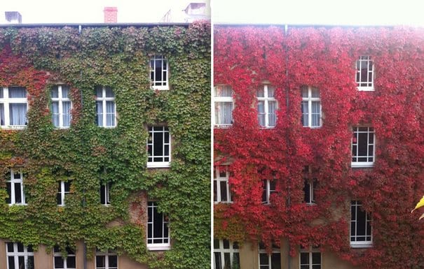 24 υπέροχες φωτογραφίες "πριν και μετά" την έλευση του Φθινοπώρου