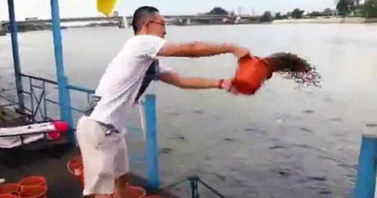 Αυτός ο άνδρας πετά έναν κουβά με φαγητό στο νερό. Λίγο αργότερα; Μια φρενίτιδα φαγητού που δεν έχετε ξαναδεί!