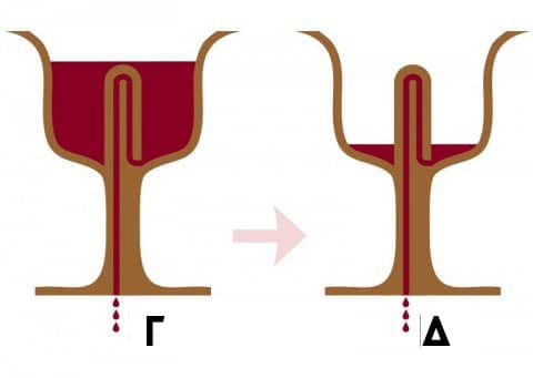 Pythagorean-Cup-How-it-works-2-480x341