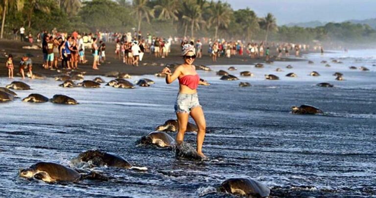 Οι χειρότεροι τουρίστες που υπήρξαν ποτέ