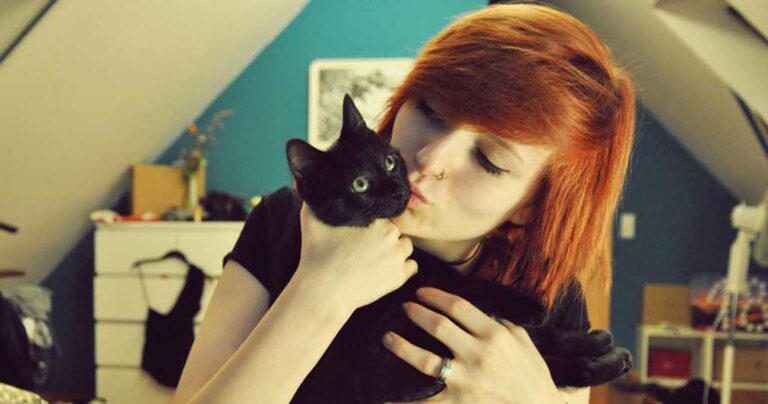 25 τρόποι που η γάτα δείχνει την αγάπη της