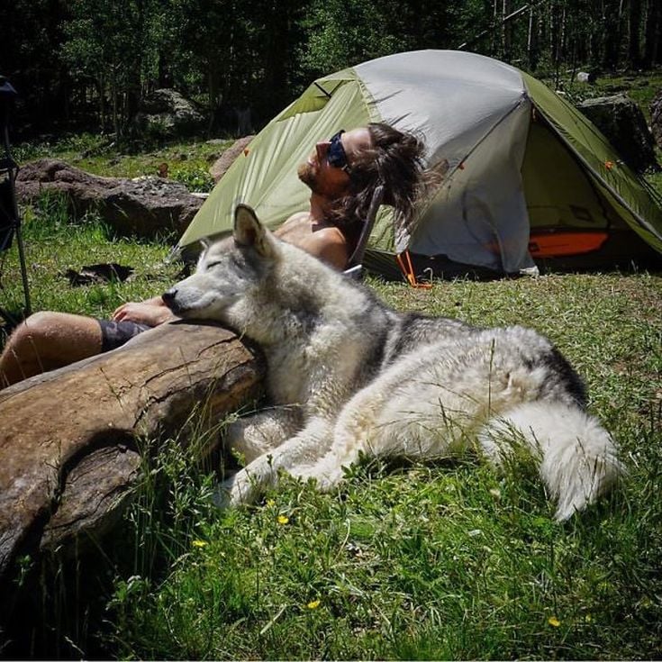 camping-with-dog-ryan-carter-1__605
