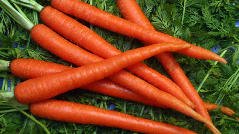 carrots