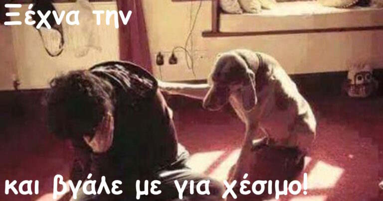 15 αστείες φωτογραφίες που θα σας φτιάξουν τη μέρα!