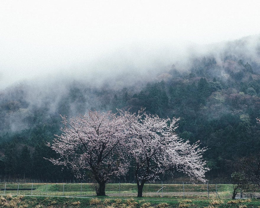 everyday-street-photography-takashi-yasui-japan-3