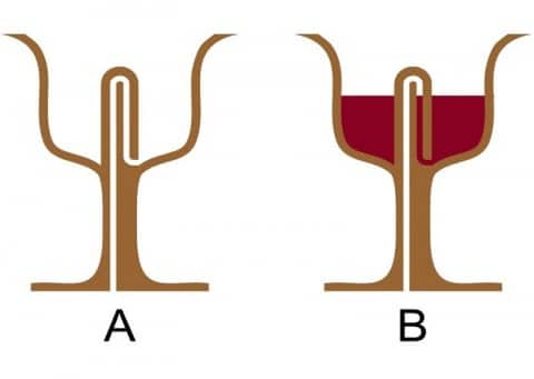 Pythagorean-Cup-How-it-works-01-480x341