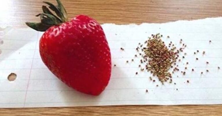 22 άνθρωποι που προφανώς έχουν πολύ ελεύθερο χρόνο!