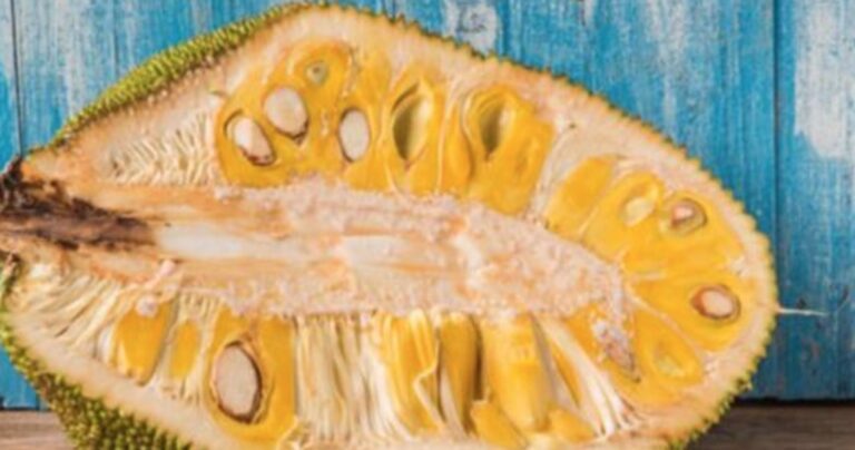 Αυτό είναι το θαυματουργό φρούτο που μπορεί να σώσει εκατομμύρια ανθρώπους!