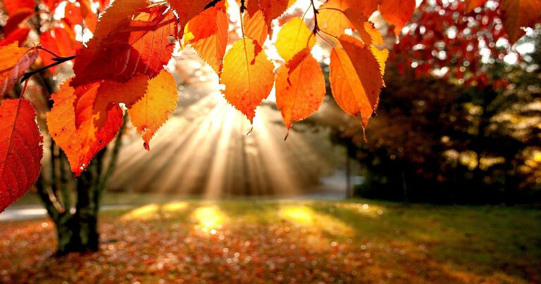 Τι είναι το φαινόμενο της Φθινοπωρινής Ισημερίας που συμβαίνει σήμερα;