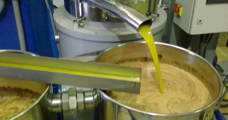 Ελαιόλαδο: Ο Σύγχρονος χρυσός της χώρα μας