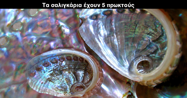 34 παράξενες πληροφορίες που θα σας κάνουν το επίκεντρο της παρέας!