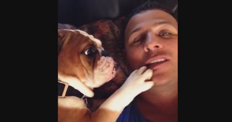 Κανείς δεν τον πίστευε όταν έλεγε τι κάνει ο σκύλος του την νύχτα. Έτσι τον κατέγραψε με κάμερα.