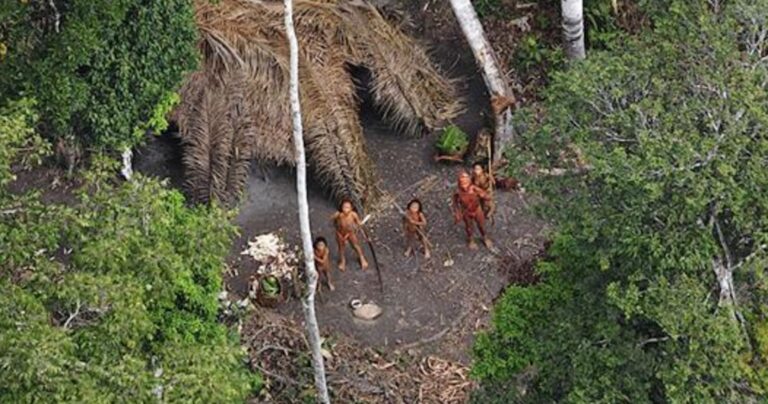 Ο φακός του BBC “αιχμαλωτίζει” μία ξεχασμένη φυλή του Αμαζονίου!