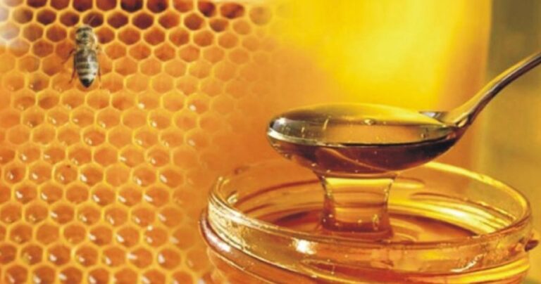 Δείτε πως μπορείτε να καταλάβετε αν το μέλι είναι φυσικό ή νοθευμένο