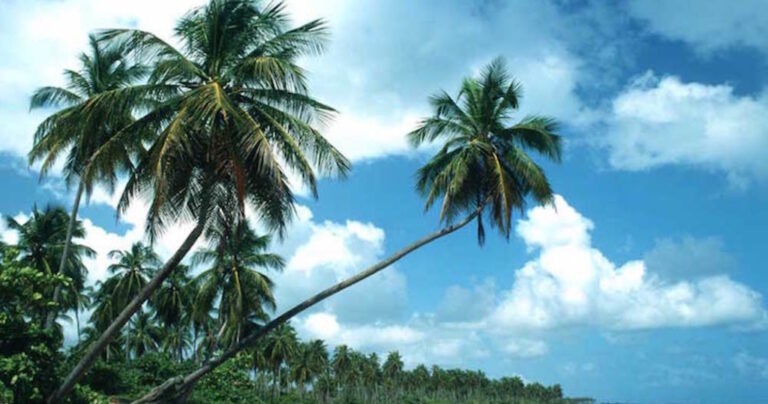 Βρείτε που κρύβονται τα γυμνά μοντέλα σε αυτές τις 13 φωτογραφίες