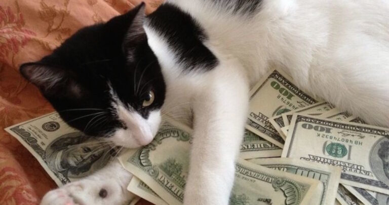 30 γεγονότα τόσο παράξενα που θα θέλατε να πείτε στους φίλους σας