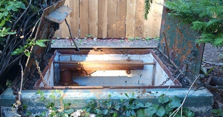 32 απίστευτα πράγματα που βρέθηκαν σε αυλές σπιτιών!