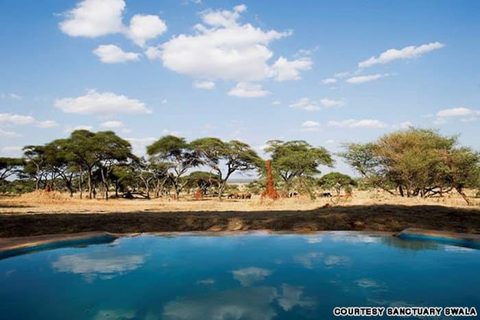 Πισίνα Sanctuary Swala στην Τανζανία, Αφρική.