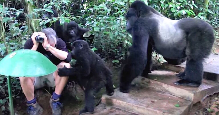 Βγάζει φωτογραφίες από το δάσος. Είχε όμως μια αναπάντεχη συνάντηση!