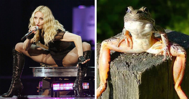 20 αστείες εικόνες που παραπέμπουν σε κάτι άλλο!