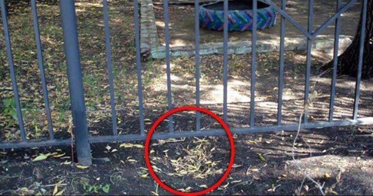 Πεντάχρονοι έσκαψαν τούνελ για να το σκάσουν από το σχολείο και να αγοράσουν μια Jaguar!