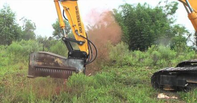 Τρομακτικό μηχάνημα εξαφανίζει δέντρα με ένα απλό άγγιγμα.