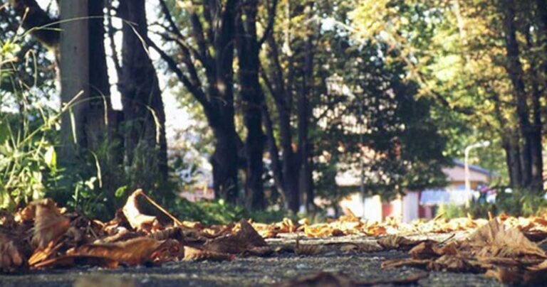 10 λόγοι που κάνουν το φθινόπωρο την καλύτερη εποχή του χρόνου