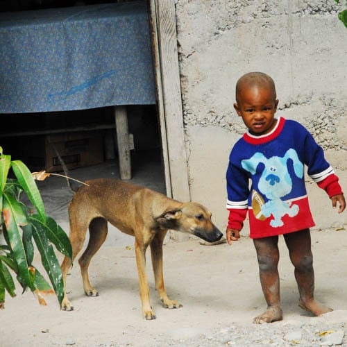 Inseparable friends under the scorching sun of the south of the Dominican Republic this dog and this child were playing in the street looking after each other. I noticed with amusement the dog design on the child's sweater.