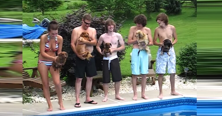 5 σκυλάκια στέκονται στη σειρά με τα αφεντικά τους. Δείτε τι γίνεται όταν ξεκινά ο αγώνας!